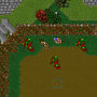 19_jester_staff_quest.png